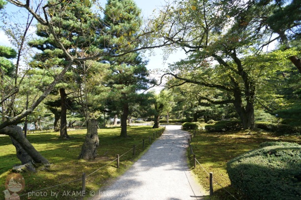 兼六園 緑豊かな通り