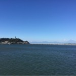 [Å] 腰越漁港で富士山・江ノ島を眺めて釣りする環境は最高なのに風強すぎてフグしか釣れなかった【釣り録08】