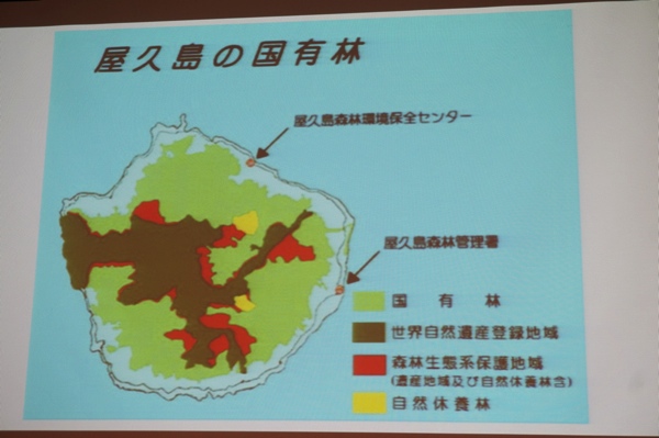 屋久島の国有林