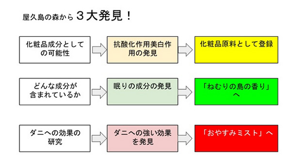 屋久島の森から3大発見!