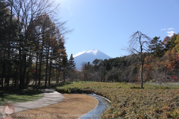 富士山を眺められる日本庭園