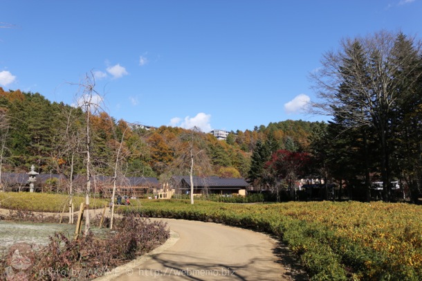 日本庭園