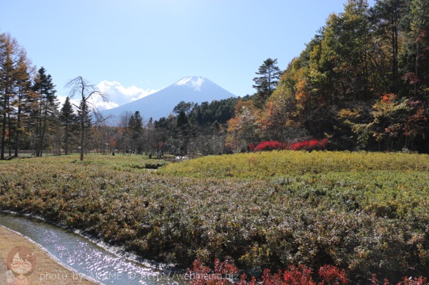日本庭園