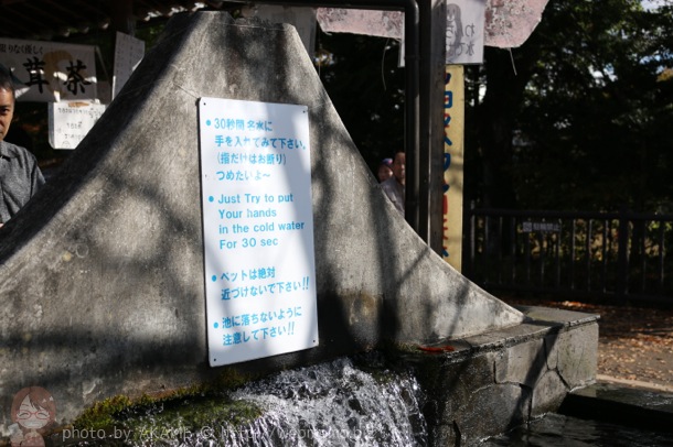 名水に手を入れる指示