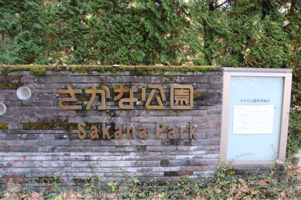 さかな公園