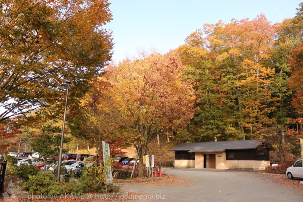 さかな公園 紅葉