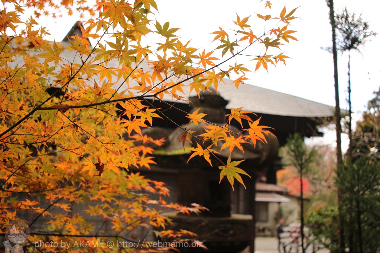 「EF-S2428STM」で撮影した紅葉とお寺