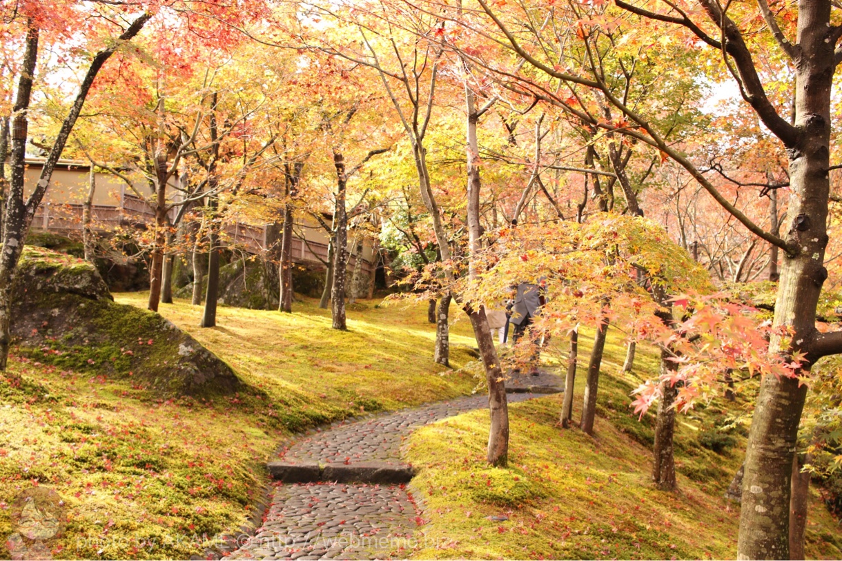 箱根美術館の紅葉