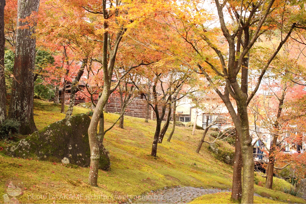 箱根美術館 紅葉の様子