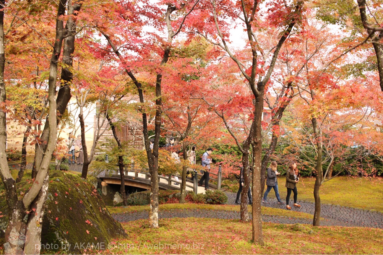 箱根美術館 紅葉の様子