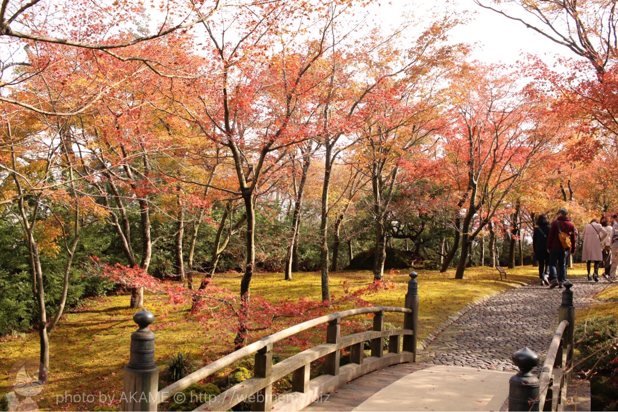 橋と紅葉