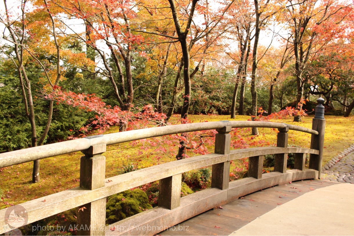 橋と紅葉