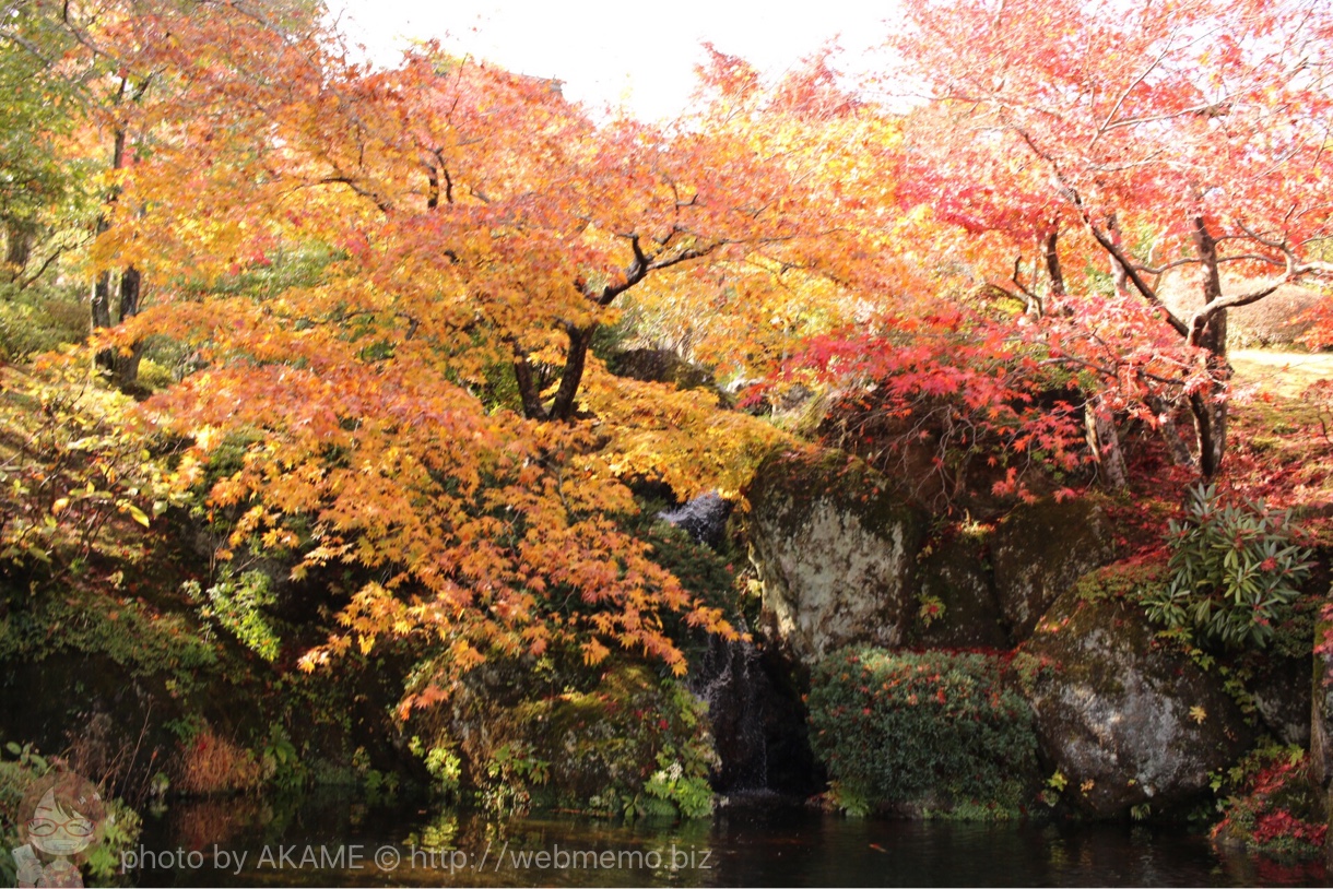 滝と紅葉