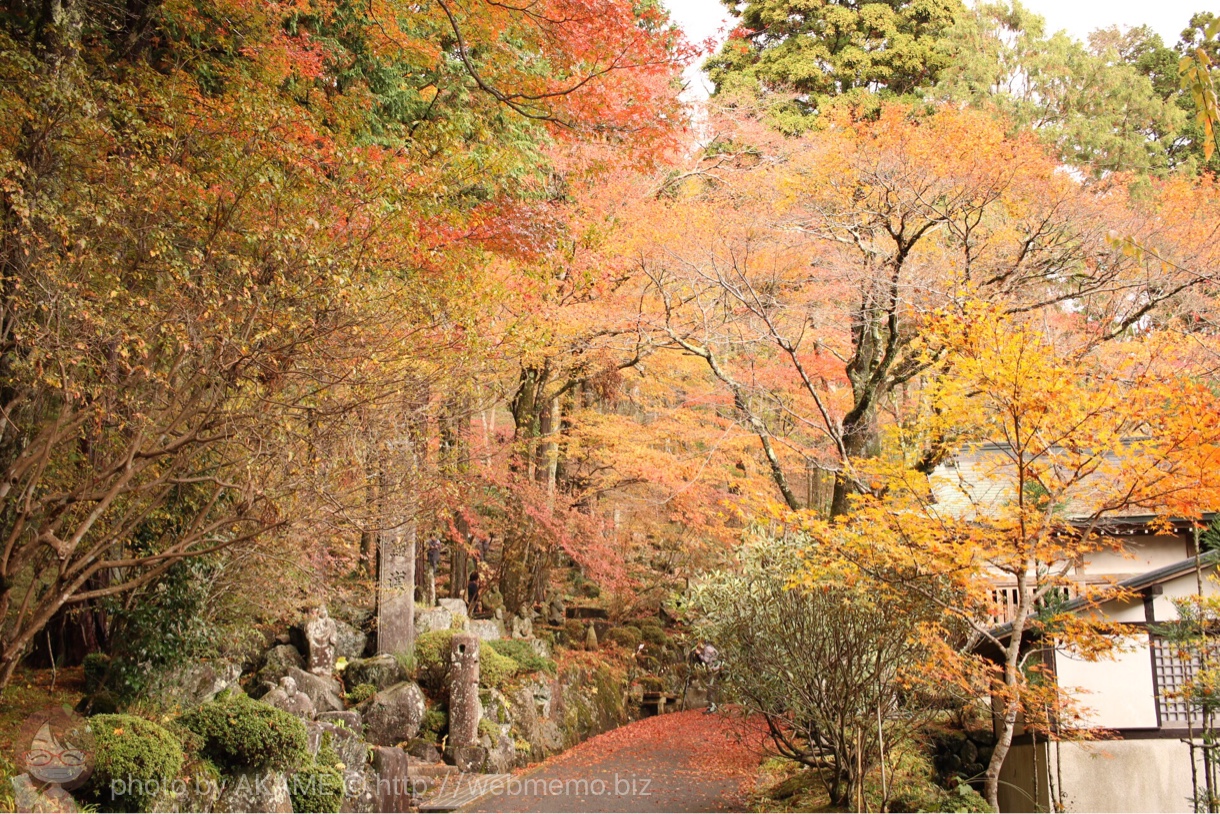 箱根の紅葉名所「長安寺」の紅葉散策