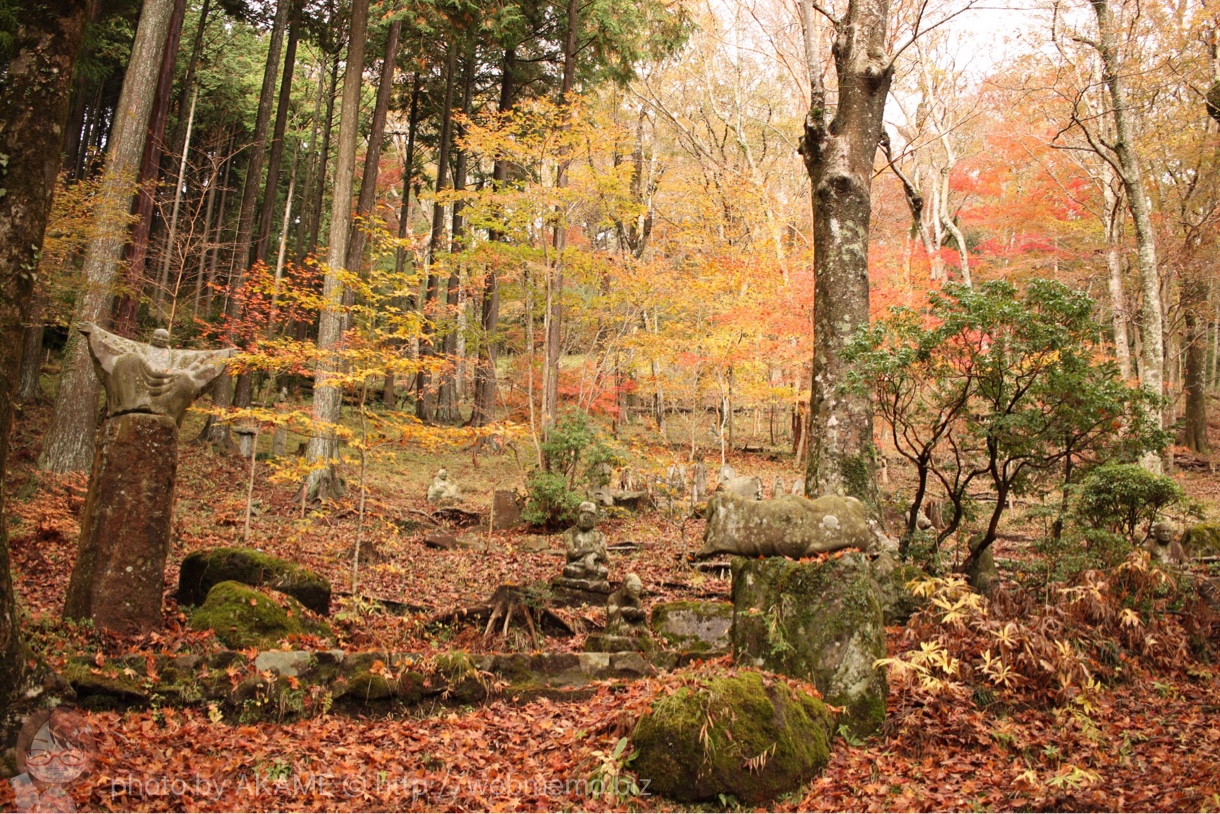 奥まで続く紅葉