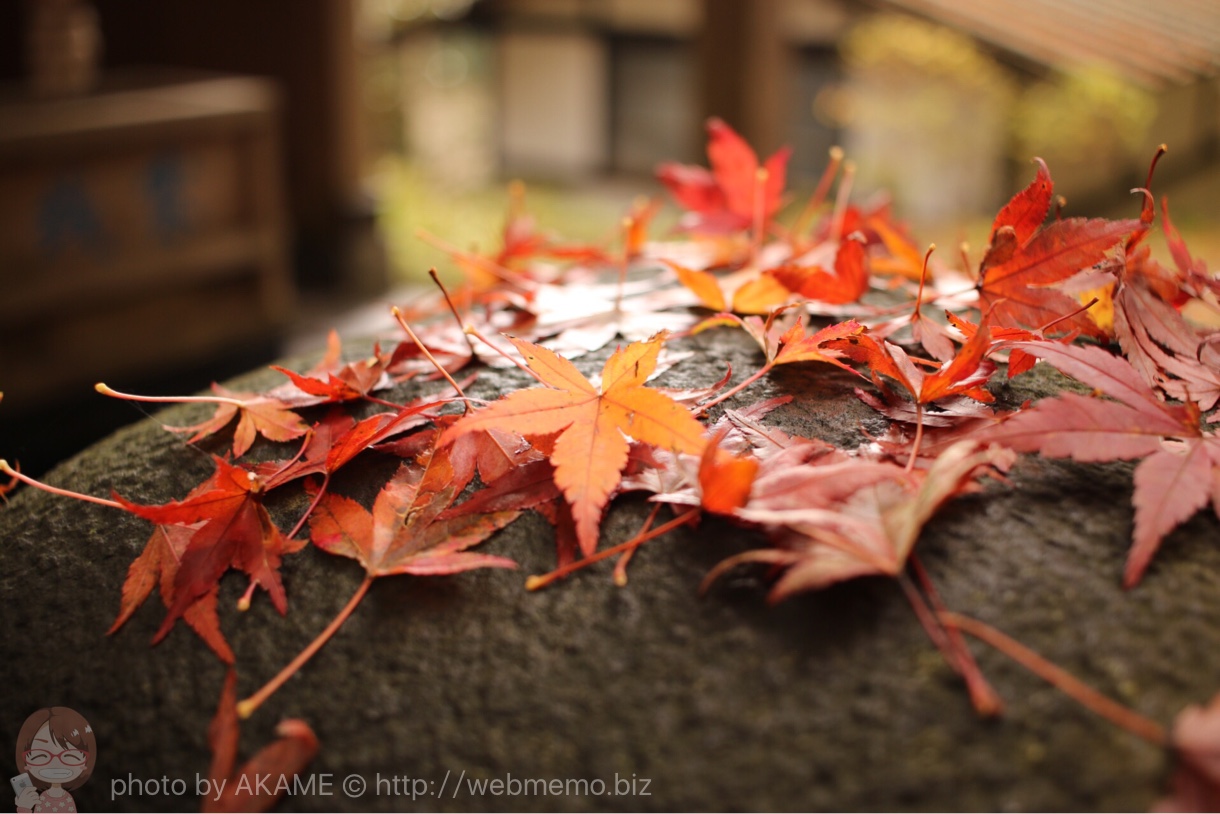 重なりあう紅葉
