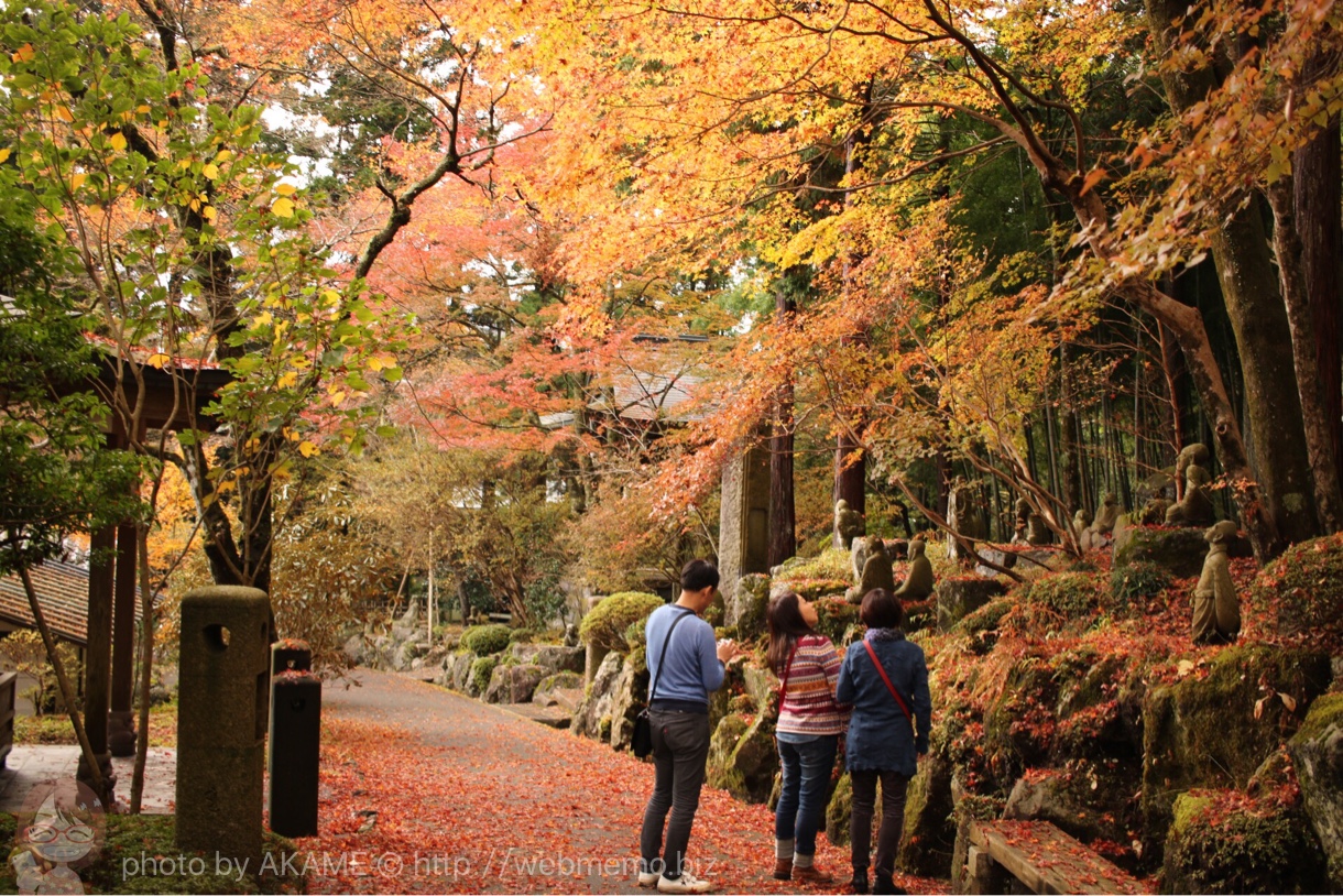 紅葉を楽しむ人々