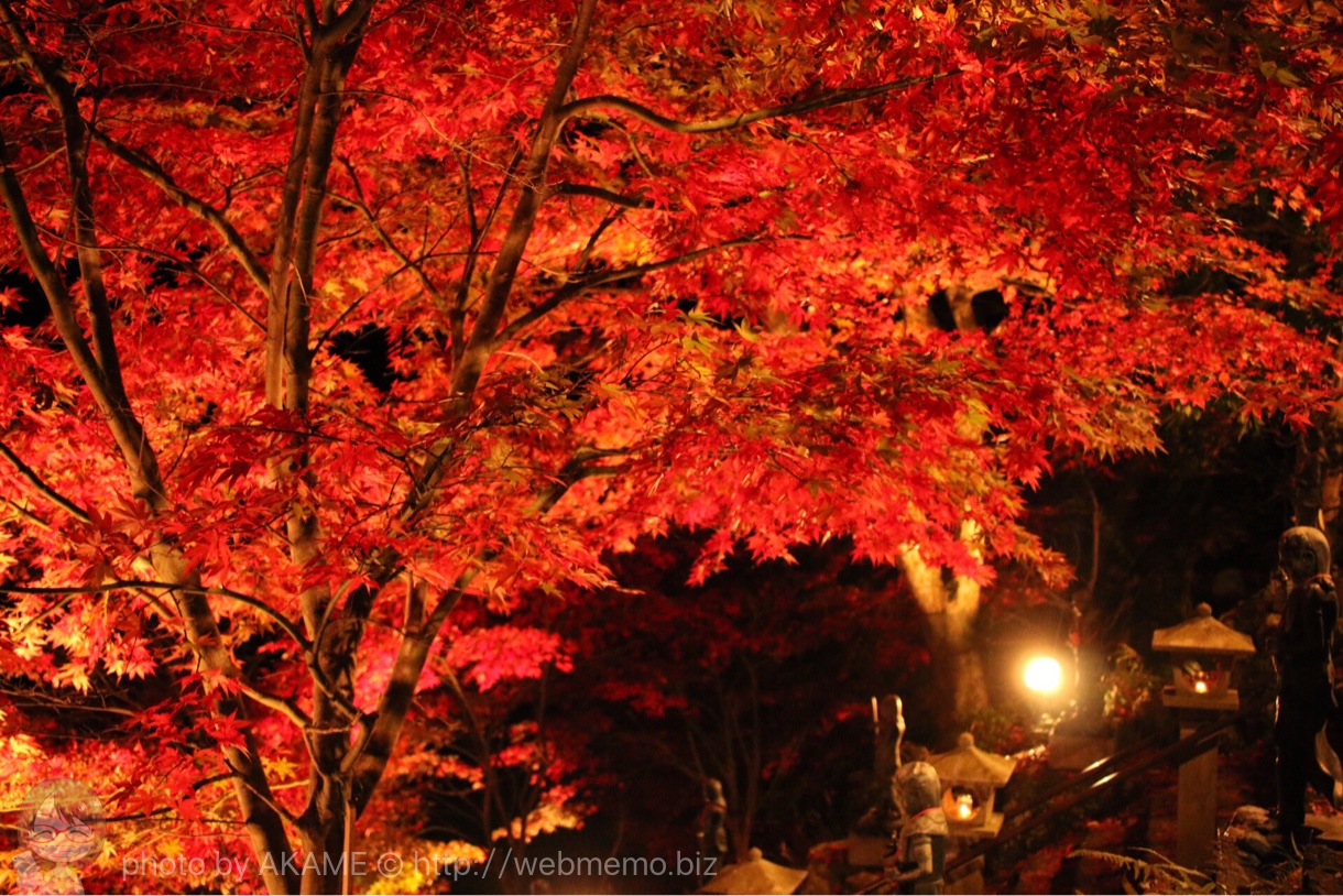 ケーブルカーを降りた途中で見えたライトアップ紅葉