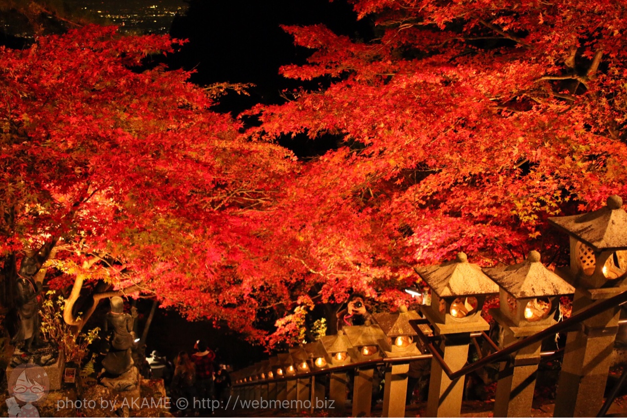見下ろすライトアップ紅葉