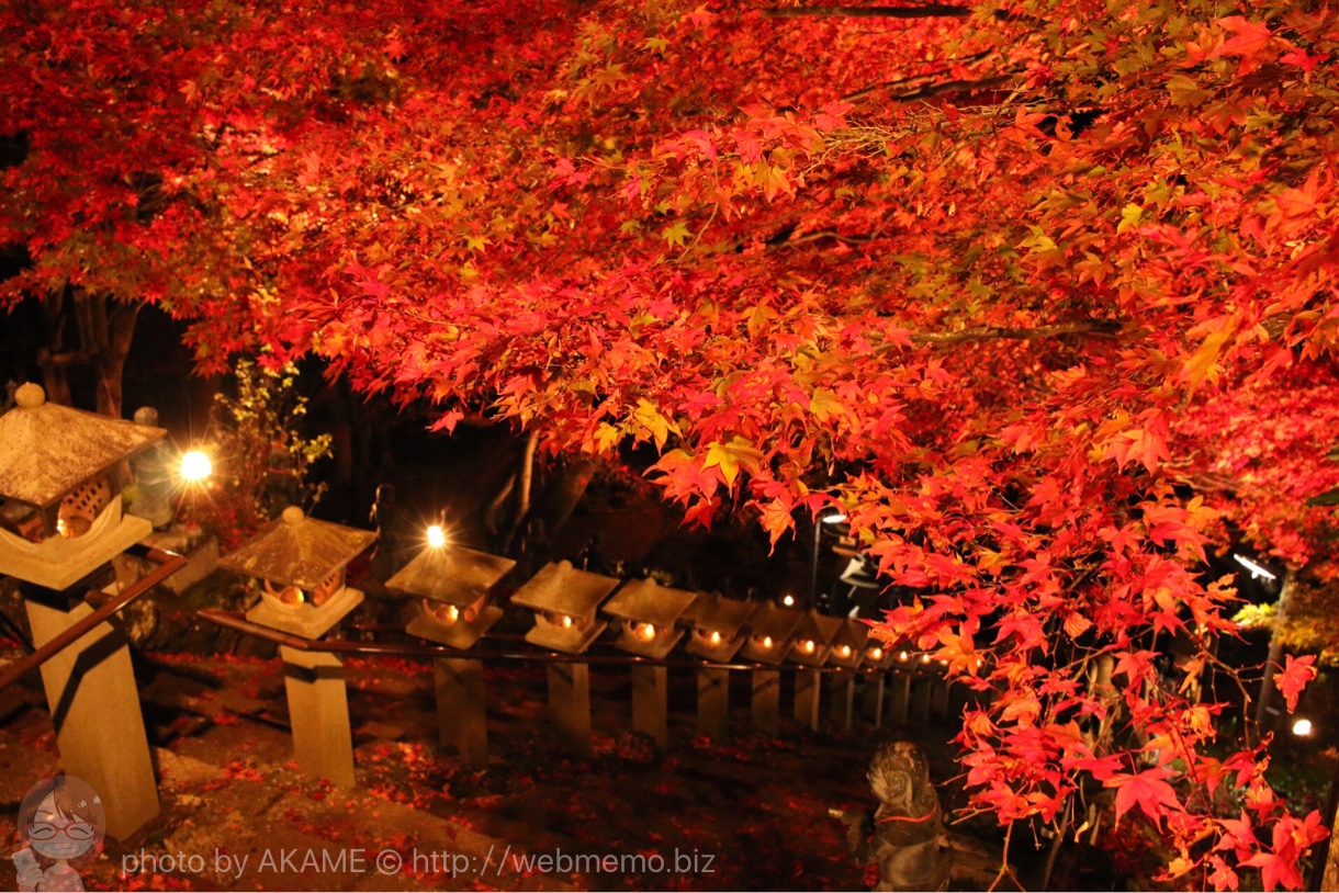 階段とライトアップ紅葉