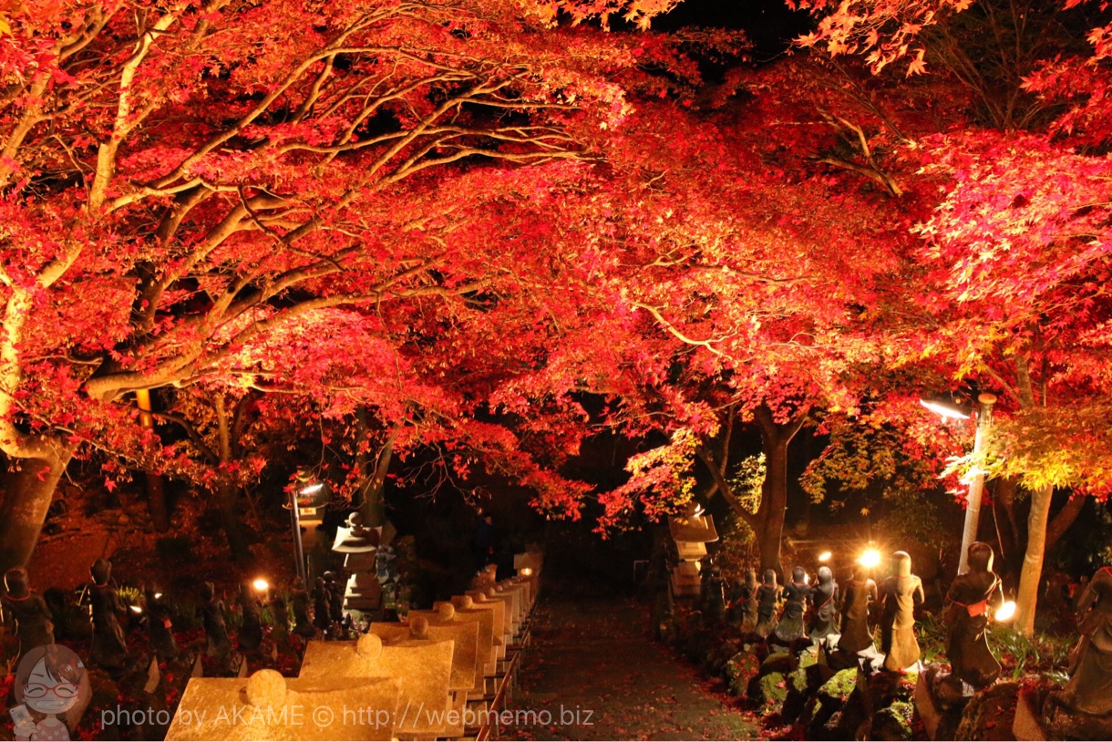 大山寺から見たライトアップ紅葉