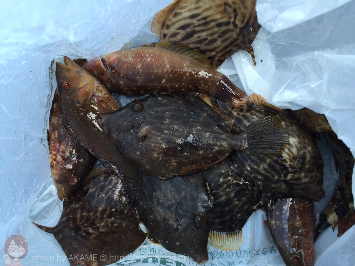 釣果