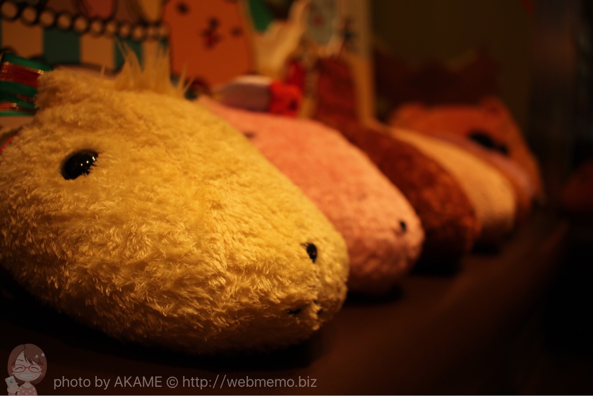 カピバラさんと仲間たちの整列
