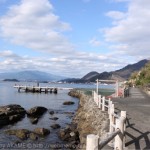 [Å] 静岡県あわしまマリンパークで島散策！自然と海に囲まれた癒しスポット
