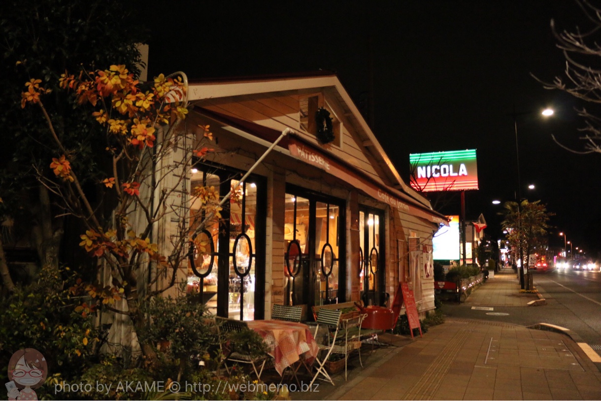 福生駅 国道16号線の昼間とは全然違う夜の商店街の様子 11