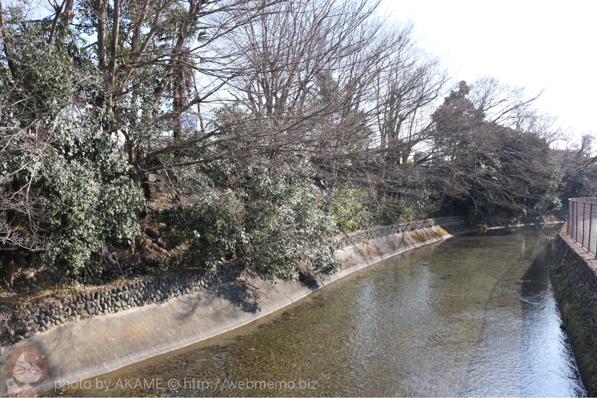 玉川上水を渡る橋