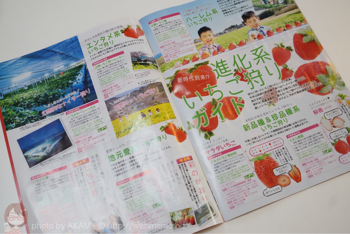 冊子内の1部のページ