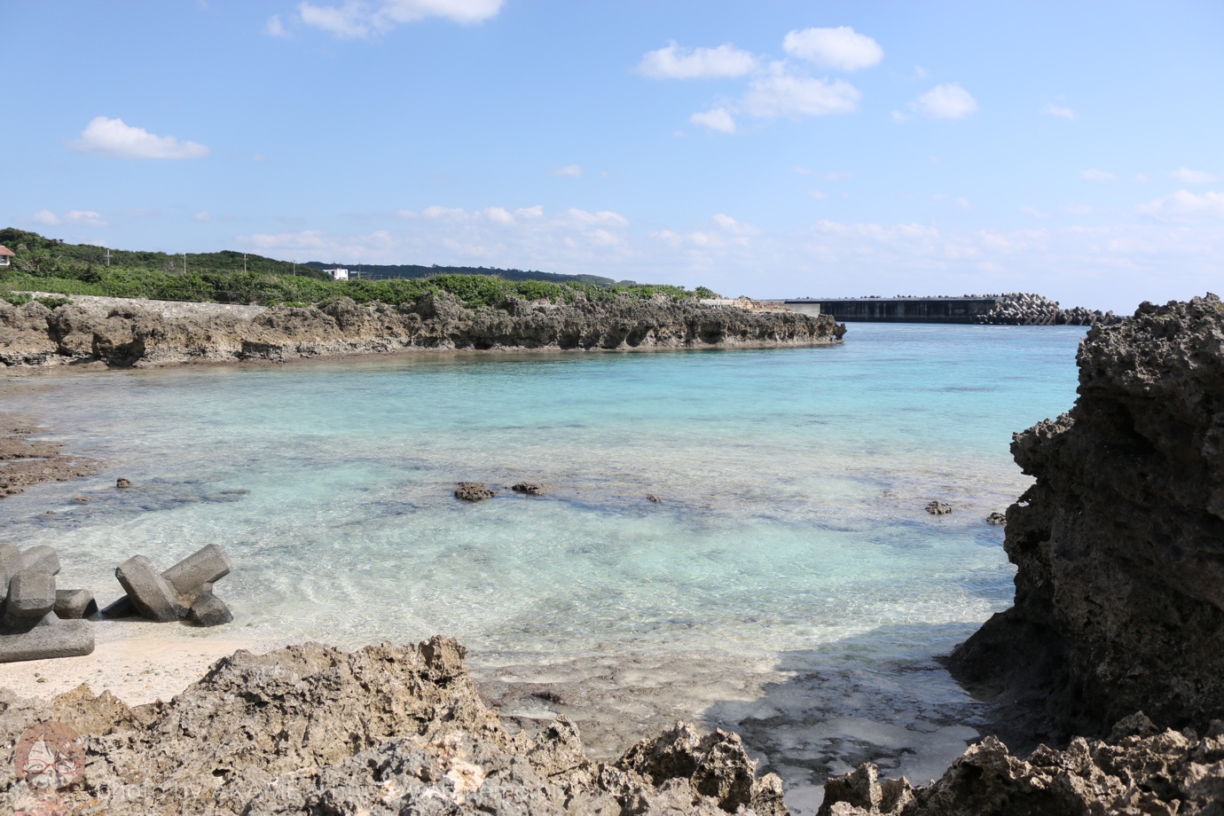 綺麗な海