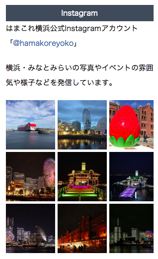 Instagram 画像埋め込みの様子