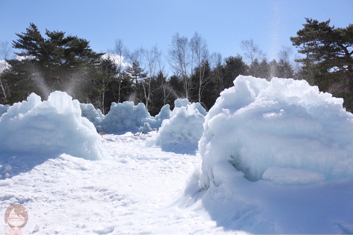 間近で見られる樹氷
