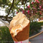 [Å] 宮古島「ユートピアファーム」のマンゴーソフトは果肉も入ってとろける美味しさ！