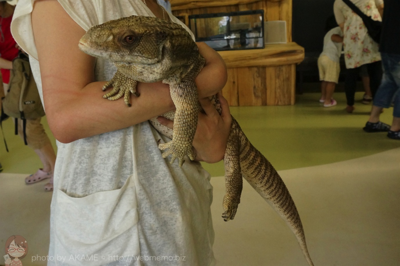 日本初!iZoo(イズー)は爬虫類と触れ合える大興奮の体感型動物園 - 伊豆観光