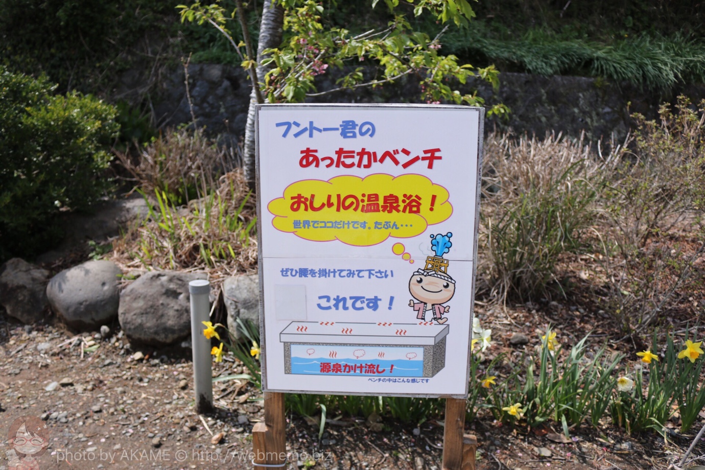 ホットベンチの解説
