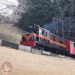 [Å] 修善寺虹の郷はカナダ・イギリス・日本の景観が楽しめる散策向け観光地