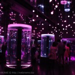 [Å] アクアパーク品川 光と音で創る幻想的水族館が凄い！直感型テーマパークを初体験