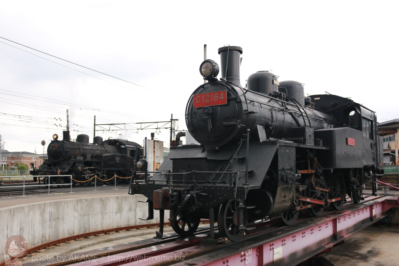 C12164
