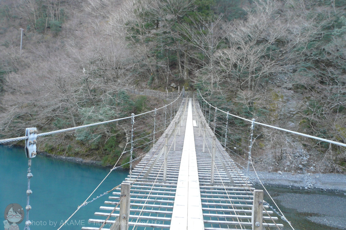 夢の吊り橋 先が長い・・・