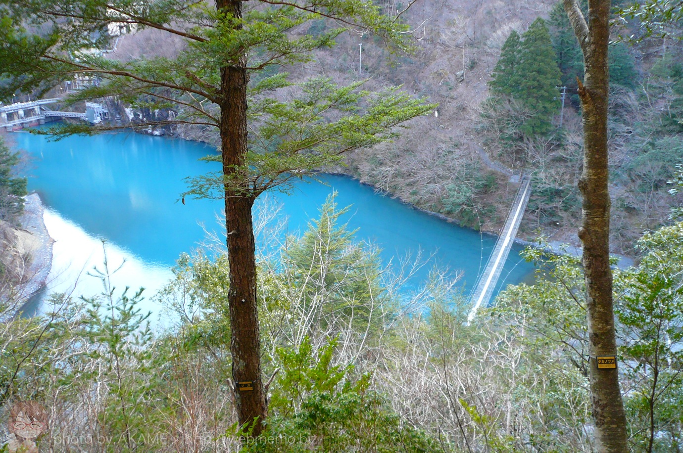 山道から見た夢の吊り橋