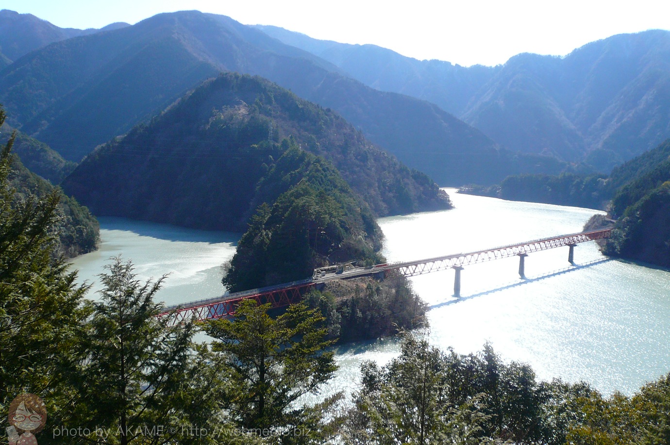 展望台から見る奥大井湖上駅