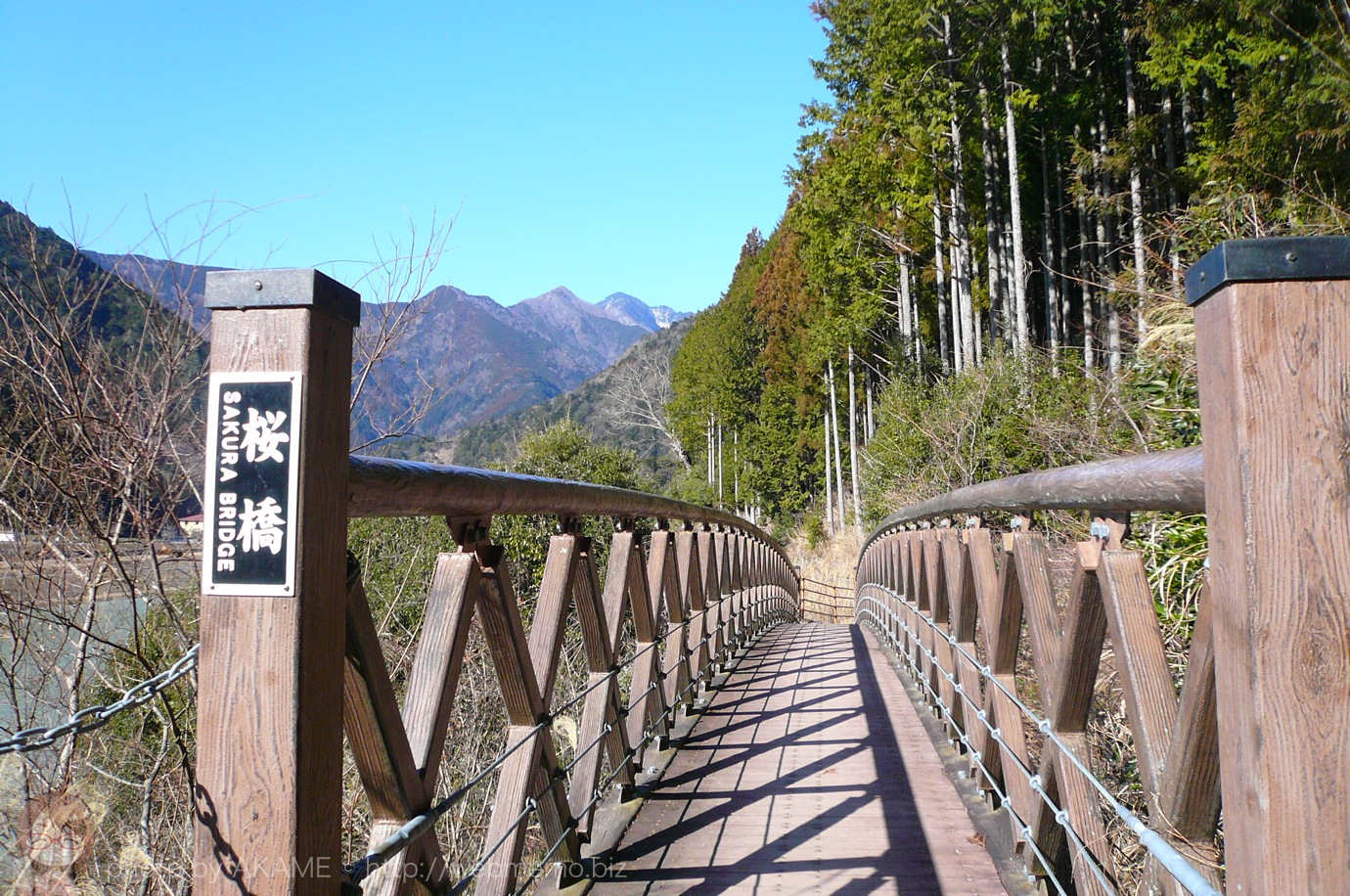 桜橋