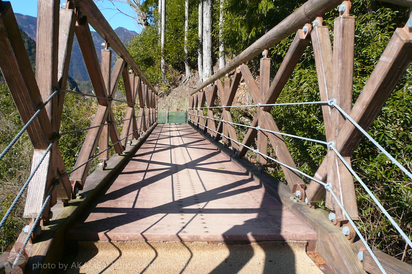 水楢橋