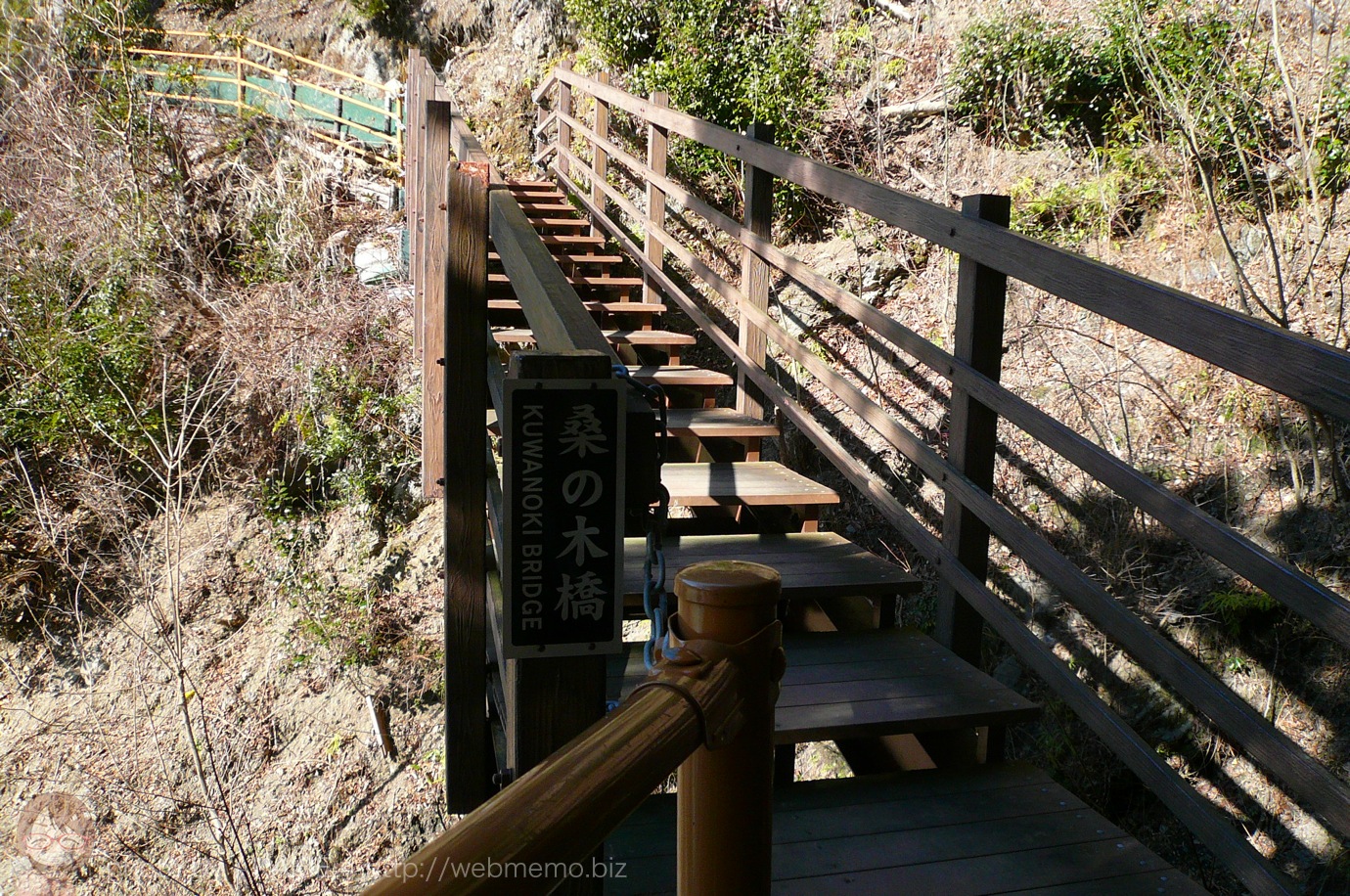 桑の木橋