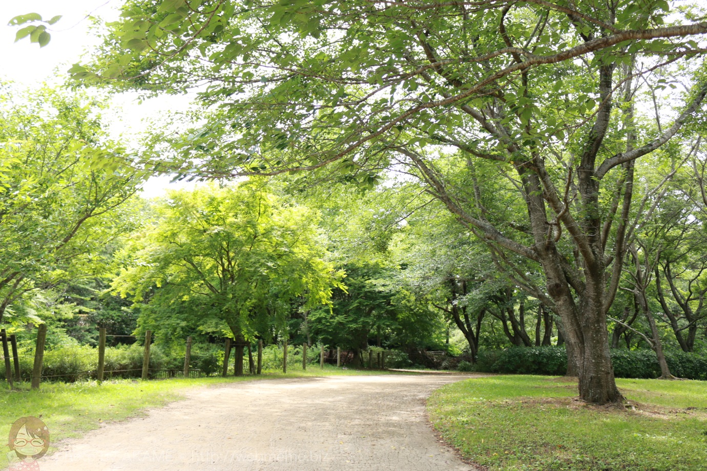房総のむら 木々に囲まれた通り