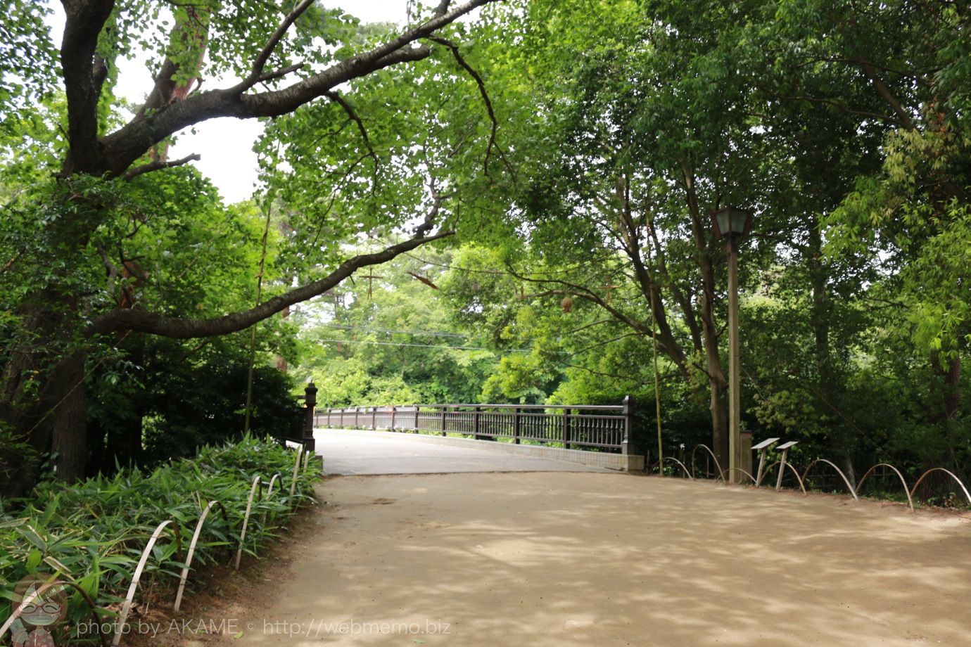 橋