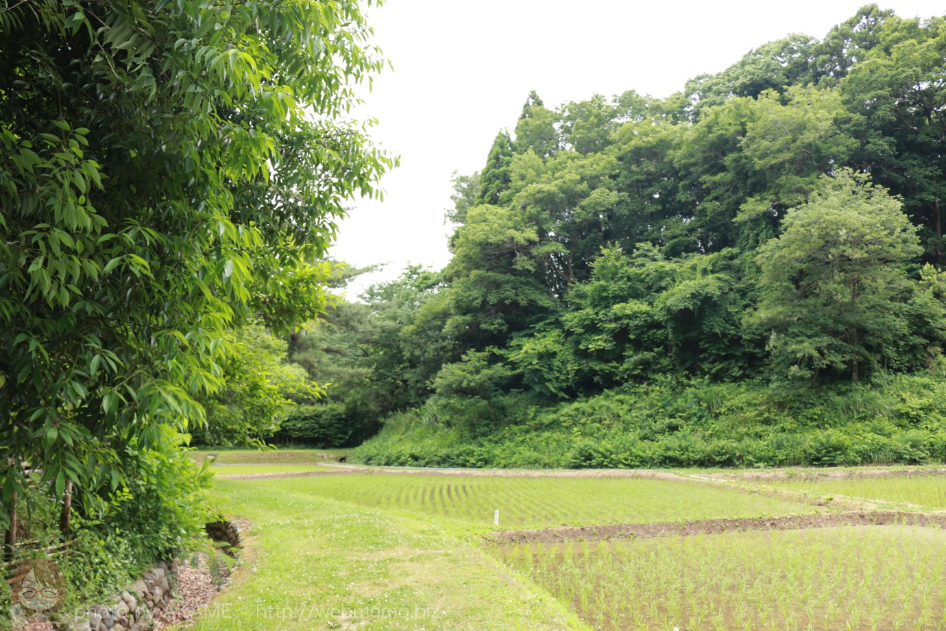 田園風景