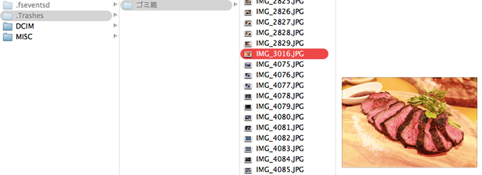カード内を覗くと「DCIM」と「MISC」のフォルダが2つ